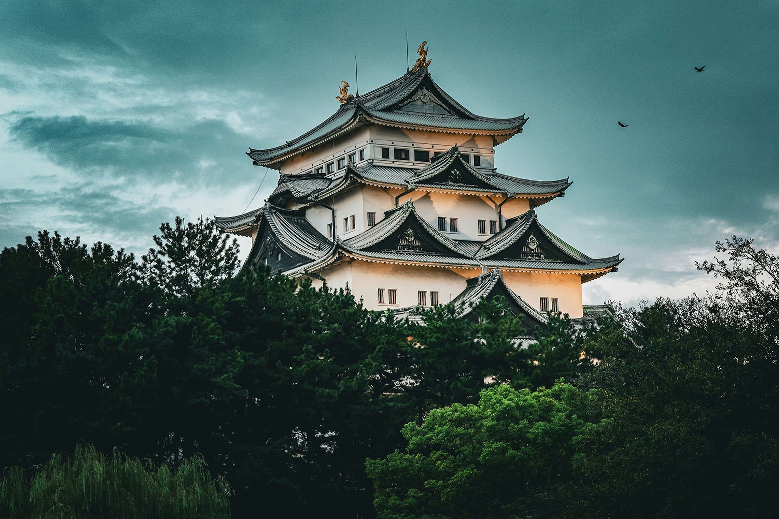 nagoya-castle-nagoya